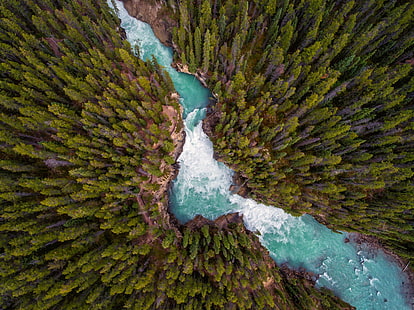 تصوير جوي للبحيرة بين أشجار الصنوبر والمناظر الطبيعية والأشجار والغابات والطبيعة والنهر والمياه، خلفية HD HD wallpaper