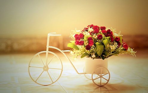 Ramo de rosas rojas en una bicicleta de florero, maceta de triciclo blanco, amor, rosa, rojo, flor, diversa, bicicleta, Fondo de pantalla HD HD wallpaper