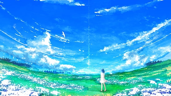 Chica anime, paisaje, campo, nubes, cielo, flores, escénico, Anime, Fondo de pantalla HD HD wallpaper