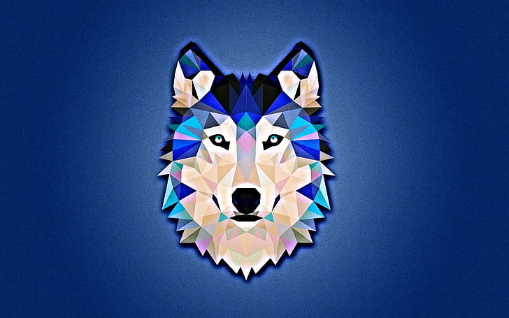 серый, коричневый, синий и чирок волк картинки, волк, минимализм, синий, белый, низкополигональная, HD обои