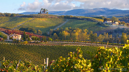 秋、トスカーナ、イタリア、ヨーロッパのキャンティクラシコのブドウ畑、 HDデスクトップの壁紙 HD wallpaper