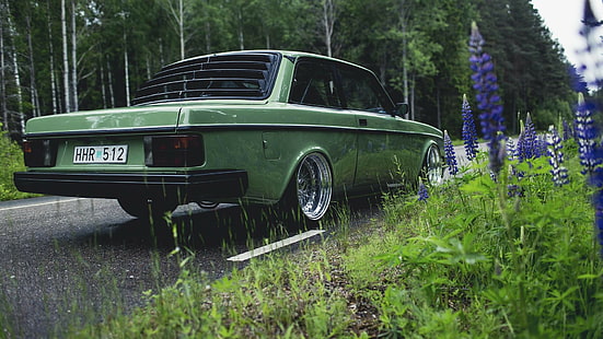 araba, yeşil, doğa, yol, Volvo, Volvo 240, HD masaüstü duvar kağıdı HD wallpaper