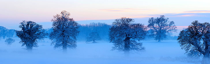 зима, природа, пейзаж, деревья, времена года, HD обои