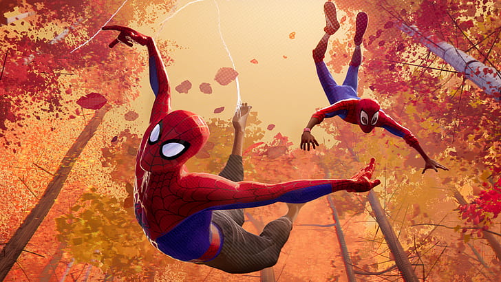 Spiderman en el verso araña, 2018 películas, películas, Spiderman, películas animadas, hd, Fondo de pantalla HD