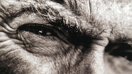 Aktor, Clint Eastwood, Wallpaper HD HD wallpaper