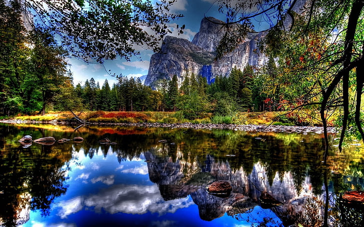 Etendue d'eau et arbres verts, nature, lac, paysage, montagnes, eau, Fond d'écran HD