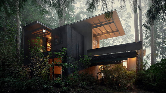 casa, arquitetura, árvores, floresta, natureza, moderna, HD papel de parede HD wallpaper