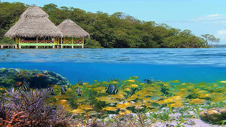 Bocas Del Toro Панама Мир Спокойствие Дървена кабина Бунгало над морето Подводен свят Коралов риф Тропически риби Екзотични места Hd Wallpaper 1920 × 1080, HD тапет