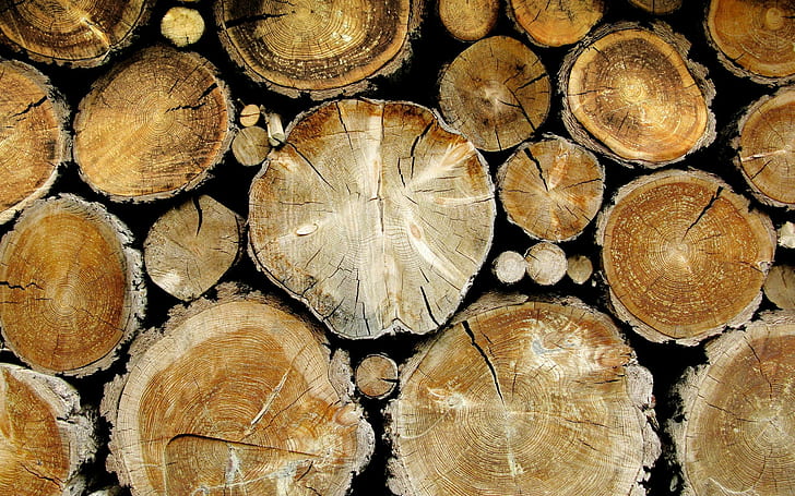 kayu, log, pohon, coklat, Wallpaper HD