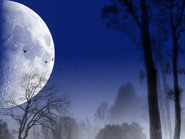 лунные горы серебряная ночь 5673 1024.jpg Природа Другое HD Art, луна, ночь, дерево, горы, HD обои