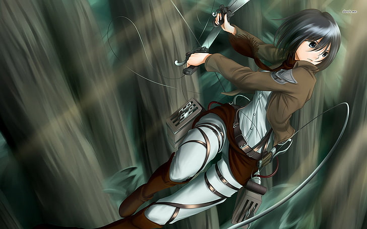 Wallpaper Attack on Titan Mikasa Ackerman, Shingeki no Kyojin, Mikasa Ackerman, anime, Wallpaper HD