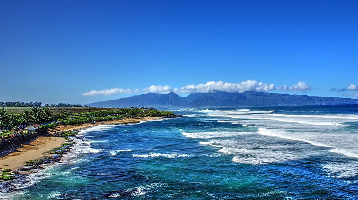 blått hav, tropiskt vatten, tropisk skog, Hawaii, ön Maui, Maui, palmer, strand, vattenfall, HD tapet