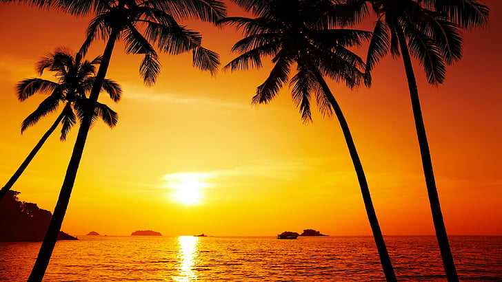 afterglow, red sky, red sunset, orange sunset, caribbean, dusk, orange sky, evening, tree, sunset, horizon, tropics, beach, palm, sun, sea, palm tree, sky, HD wallpaper