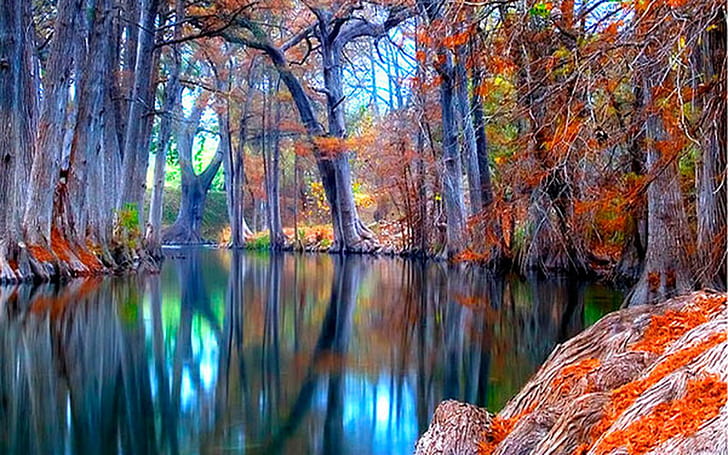 Nature Autumn Stream Backgrounds Wallpaper, Wallpaper HD