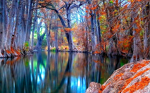 Фоны Природа Осенний поток Обои, HD обои HD wallpaper