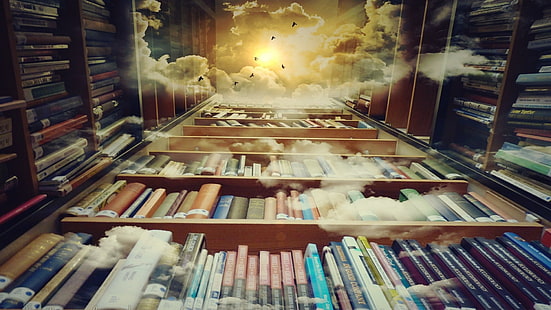 книги в полке, живопись, небо, книги, облака, мозг, учеба, культура, HD обои HD wallpaper