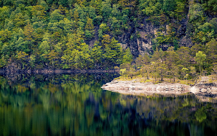 Norway autumn beautiful forest lake reflection, HD wallpaper