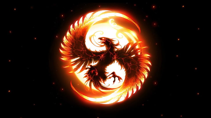 птица с огненным логотипом, феникс, феникс, HD обои