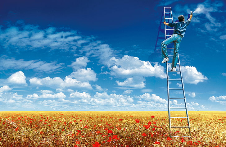 ladders, landscape, flowers, field, men, sky, clouds, HD wallpaper