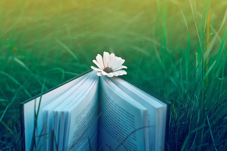 white and black book, book, mood, nature, grass, flowers, HD wallpaper