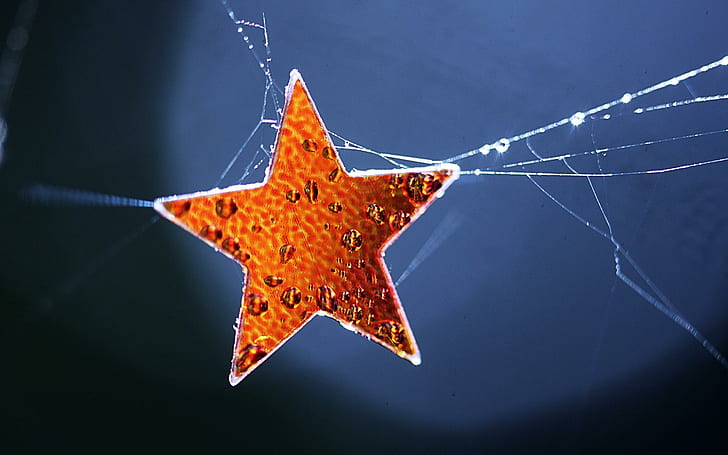 Winter Hope, orange star decoration, orange, christmas, white, water, spiderweb, hiope, snow, blue, drops, winter, star, 3d and abstract, HD wallpaper