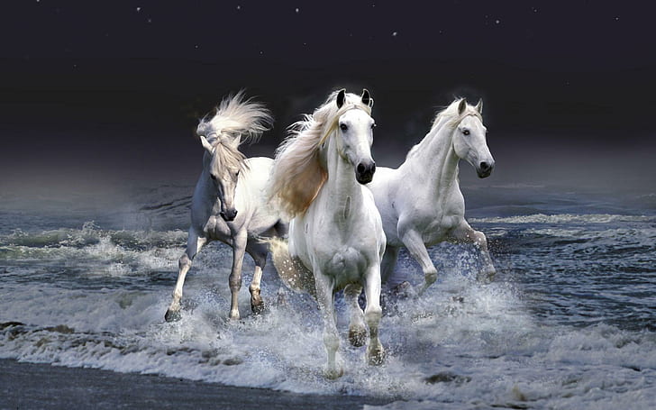 Mystic Horses HD wallpapers free download | Wallpaperbetter