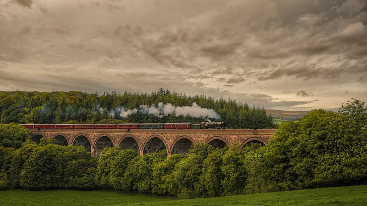 hills, railway, landscape, trees, HDR, sky, smoke, steam locomotive, train, forest, England, bridge, UK, viaduct, grass, nature, field, clouds, HD wallpaper