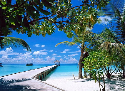 green coconut palm tree, nature, landscape, beach, summer, sand, tropical, boat, sea, HD wallpaper HD wallpaper