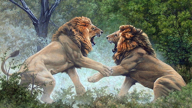 leones, lucha, artística, ilustraciones, Fondo de pantalla HD