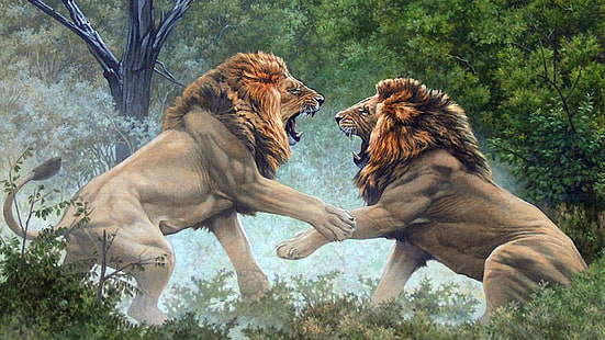 leoni, lotta, artistico, opere d'arte, Sfondo HD HD wallpaper