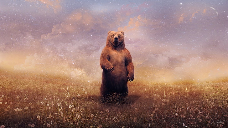 brunbjörn stående på mark omgiven av blomma, björnar, landskap, typografi, digital konst, HD tapet