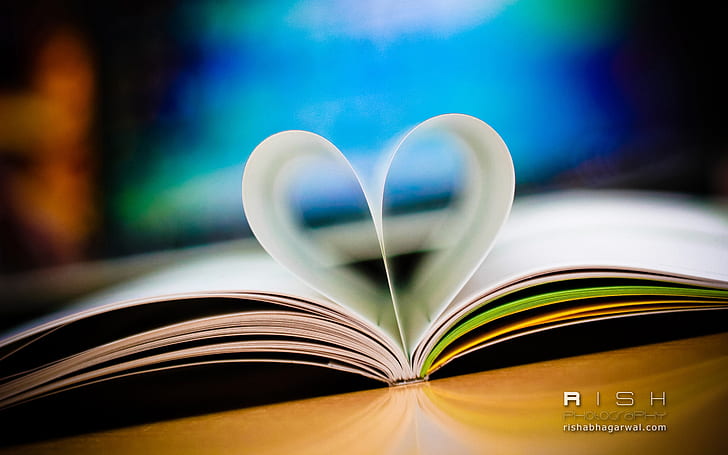 Livro de amor, amor, livro, HD papel de parede
