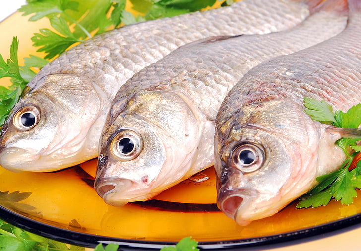 trois poissons gris, poisson, carpe, assiette, trois, persil, herbes, Fond d'écran HD