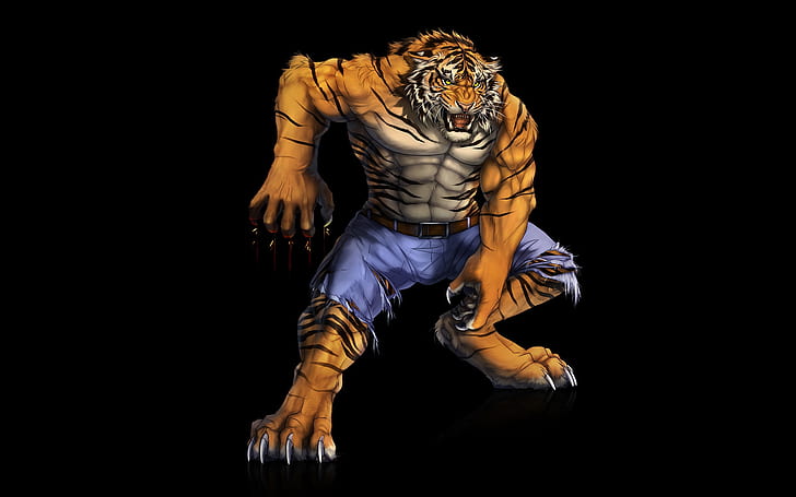 тигр, хищник, мышца, HD обои