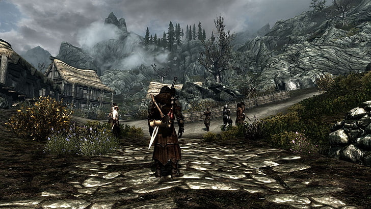 Assassin Creed superficie di gioco, The Elder Scrolls V: Skyrim, videogiochi, Sfondo HD
