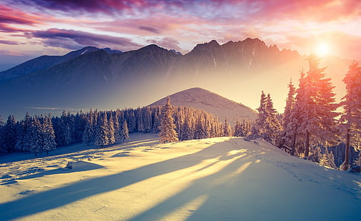 Sonnenuntergang-Winter-Schatten, Kiefern, Jahreszeiten, Winter, HD-Hintergrundbild HD wallpaper