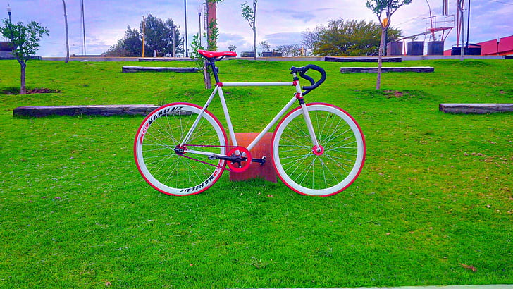 fixie pink white bicycle, HD wallpaper