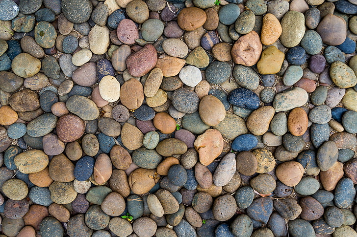 white, yellow, and blue stone pebbles, beach, pebbles, stones, background, texture, marine, sea, HD wallpaper