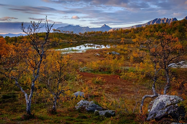 autumn, trees, mountains, lake, Norway, Troms, Aunfjellet, Harstad, HD wallpaper