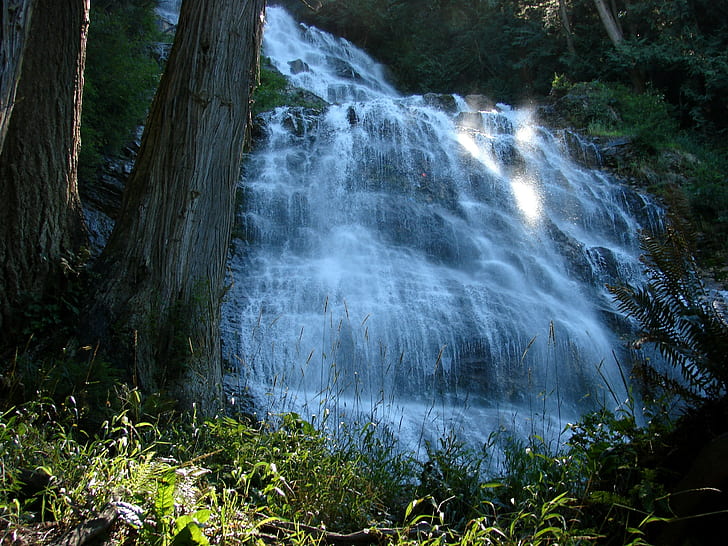 น้ำตกธรรมชาติภูมิทัศน์ต้นไม้ป่าแสงแดดพืช, วอลล์เปเปอร์ HD