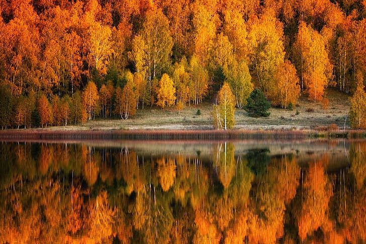 осень, лес, деревья, пейзаж, природа, озеро, отражение, берег, HD обои