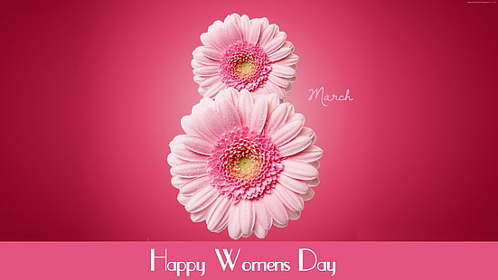 цветя, Международен ден на жените, гербера, 8 март, розово, HD тапет HD wallpaper