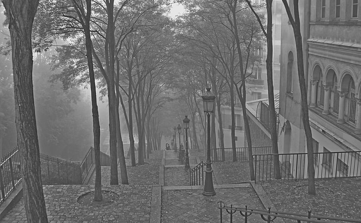 Montmartre In Fog, grayscale photo of stairs and trees, Black and White, People, Paris, Morning, Photography, Fall, France, Butte, Choice, Most, Interesting, iledefrance, 100mostinteresting, 120of50000, arrondissement, automne, bruillard, buttemontmartre, copyright, copyrightjkertesz, favorited, gens, julie, julie70, juliekertesz, kertesz, montmartre, montmartrois, mostfav, mostinteresting, paris18e, paris18earrondissement, parisstrolls, photographyjuliekertesz, photojuliekertesz, regionwide, strolls, topfavorited, topinteresting, HD wallpaper