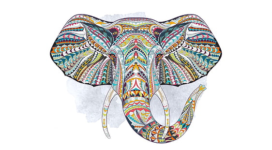 Elephant, multicolored elephant head vector art, Aero, Vector Art, Design, Colors, Elephant, Head, HD wallpaper HD wallpaper