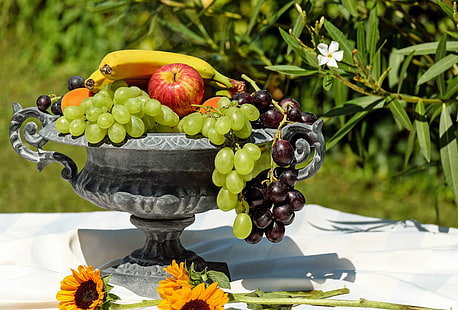 еда, фрукты, ваза с фруктами, фрукты, полезное, ракушка, лето, HD обои HD wallpaper