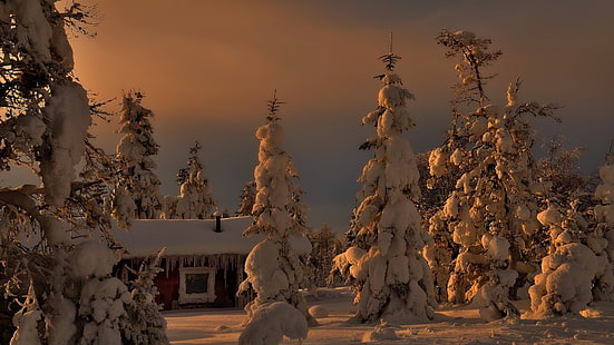 ภาพประกอบต้นไม้ที่ปกคลุมด้วยหิมะ, ทิวทัศน์, ต้นสน, หิมะ, กระท่อม, ฤดูหนาว, วอลล์เปเปอร์ HD HD wallpaper