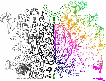 Anatomy, brain, head, Medical, psychedelic, skull, HD wallpaper HD wallpaper