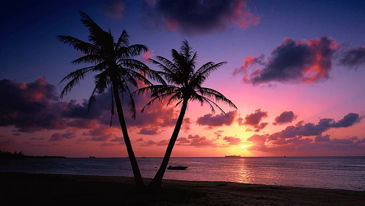 paysage, silhouette, nuages, mer, palmiers, Fond d'écran HD
