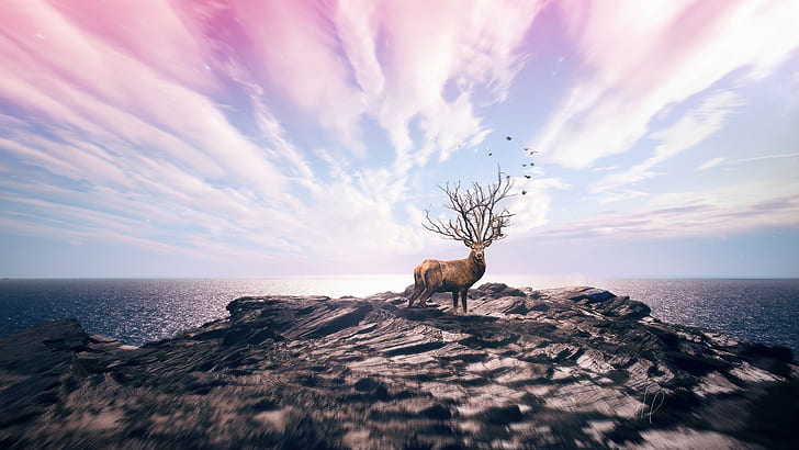 deer, cliff, 4k, 8k, HD, fantsy, HD wallpaper