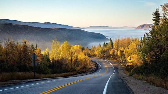 road, nature, mountain, autumn, foggy, fog, landscape, autumn landscape, autumn scenery, HD wallpaper HD wallpaper